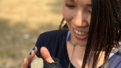 img descubriendo la gallina de los takahe en nueva zelanda