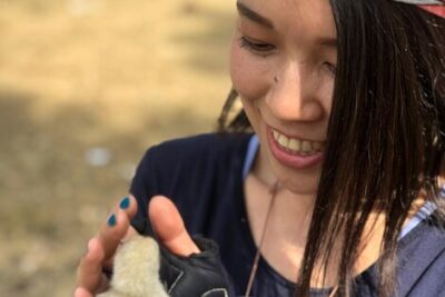 img descubriendo la gallina de los takahe en nueva zelanda