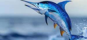 marlin azul