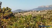 Negocio Beautiful Benissa Views