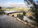 Negocio Casa Paloma