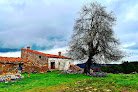 Negocio Casa Rural La Cambreta