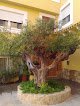Negocio Casa Rural Montcabrer