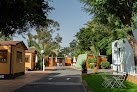 Negocio Las Palmeras Camping Crevillente